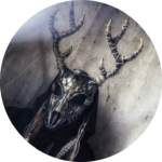 Rauktori - The nyckelharpa slayer